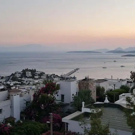 With Sea View & Pool Вилла Бодрум